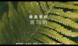 唯美动态短视频